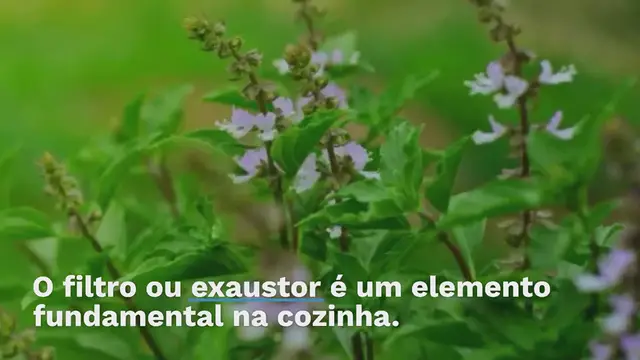 Video thumbnail for Veja como limpar profundamente o exaustor para tirar os maus cheiros da cozinha