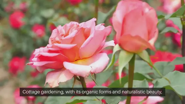 Video thumbnail for Cottage Gardening and Feng Shui Harmonized Living Room