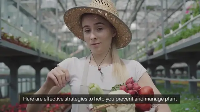 Video thumbnail for How to Prevent and Treat Common Plant