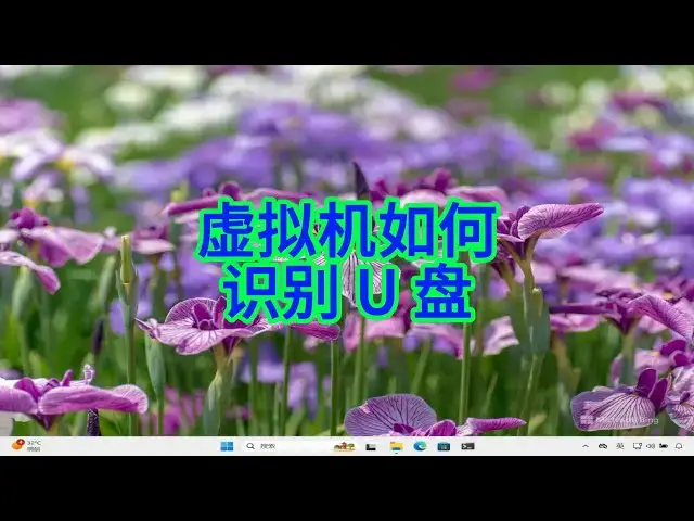 'Video thumbnail for 如何解决 VirtualBox 虚拟机无法识别 U 盘难题'