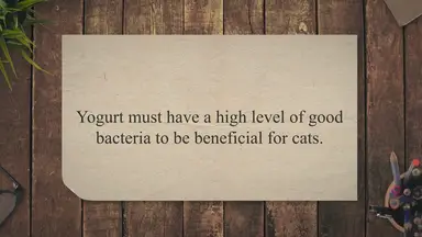 'Video thumbnail for Can Cats Eat Probiotic Yogurt? + 5 Best Probiotic Yogurt For Cats'