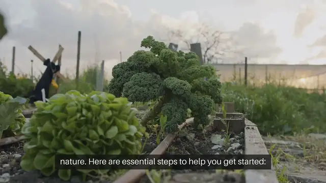 Video thumbnail for How to Start a Vegetable Garden