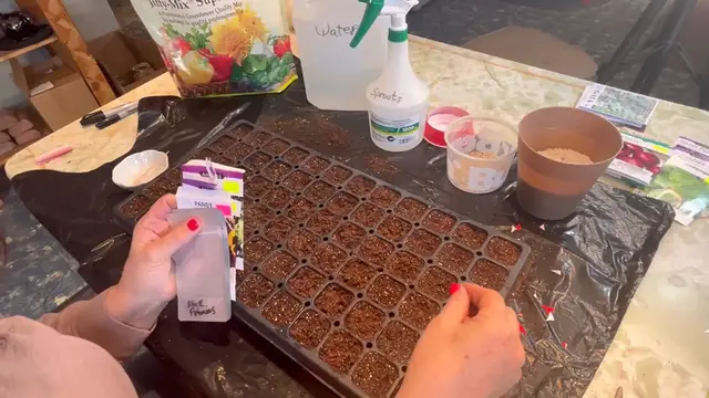 Video thumbnail for SAVE MONEY and Start Flowers From Seed 💰🌺🌼💰