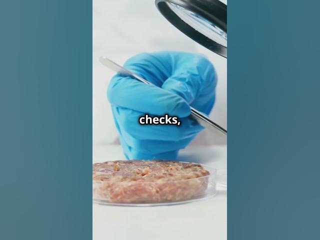 Video thumbnail for 10 Million Pounds of Meat Recalled - Here's Why