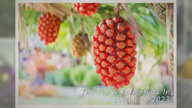 'Video thumbnail for Top 6 Rare Fruits In the World 2023'