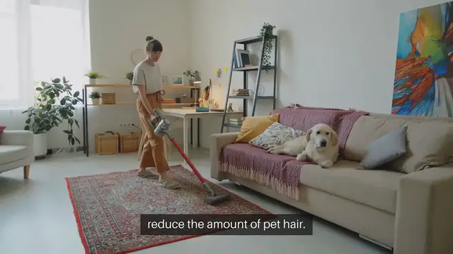 Video thumbnail for Pet Hair Management Tips