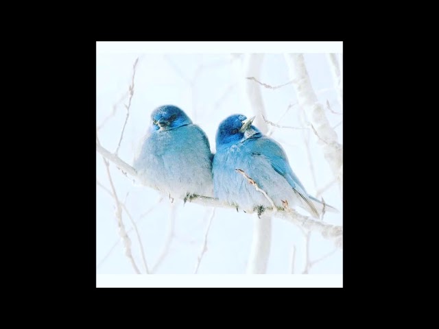 Video thumbnail for You're Not Alone, By Marilynn Hughes, Out of Body Travel, Out of Body Experiences