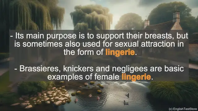 Video thumbnail for Lingerie In Sentences - Examples Of Lingerie In Sentences