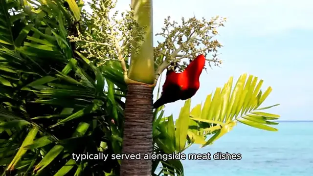'Video thumbnail for pikliz recipe'