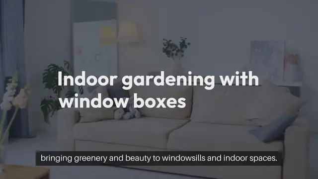 Video thumbnail for Indoor Gardening Window Box