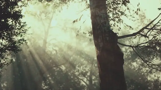 Video thumbnail for Demon Slayer: Swordsmith Village Arc