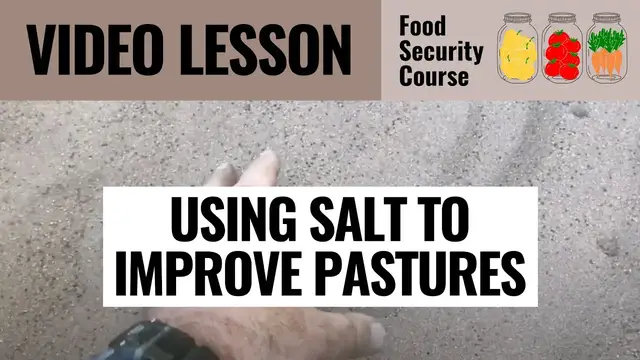 Video thumbnail for VIDEO   USING SALT TO IMPROVE PASTURES