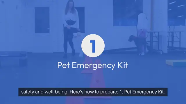 Video thumbnail for Emergency Evacuation Plan for Pets