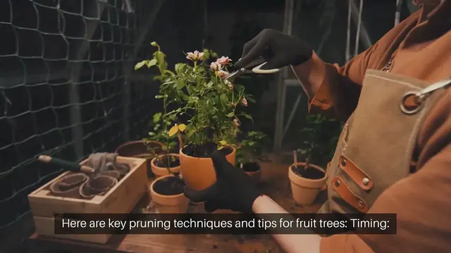 Video thumbnail for Pruning Techniques for Fruit Trees