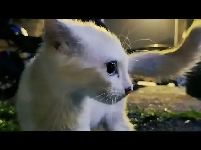 Video thumbnail for A boring Day