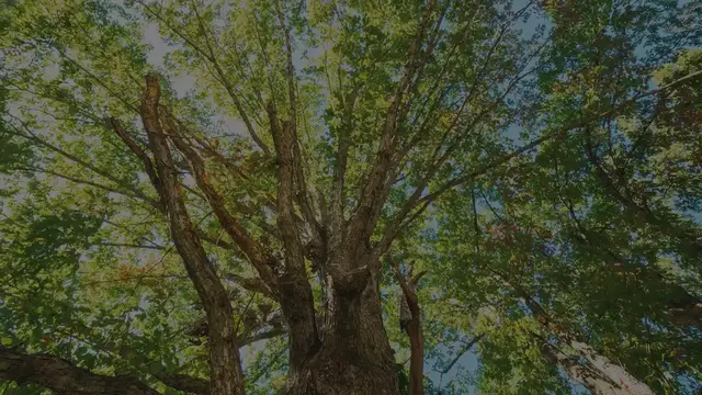 Video thumbnail for NYT ‘Strands’ Hints, Spangram And Answers For Tuesday, September 10th