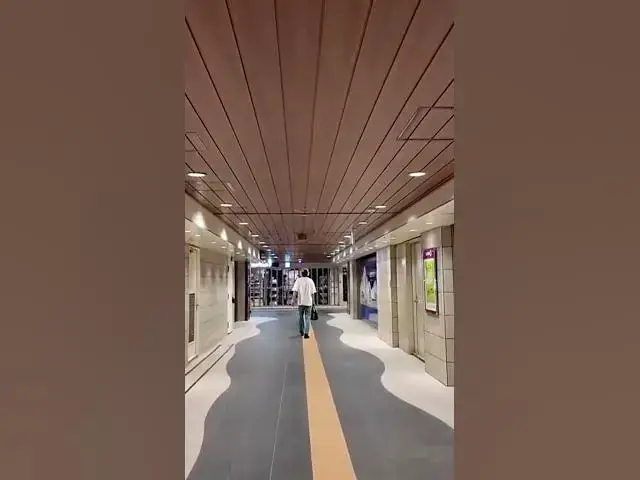 Video thumbnail for Exploring the Bustling Dotonbori District in Osaka!