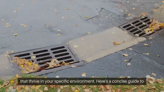 'Video thumbnail for Garden Climate Planning'