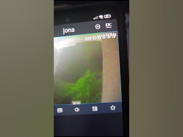 Video thumbnail for Material exclusivo: ¿Un gris en el patio? 25/02/24.(2)