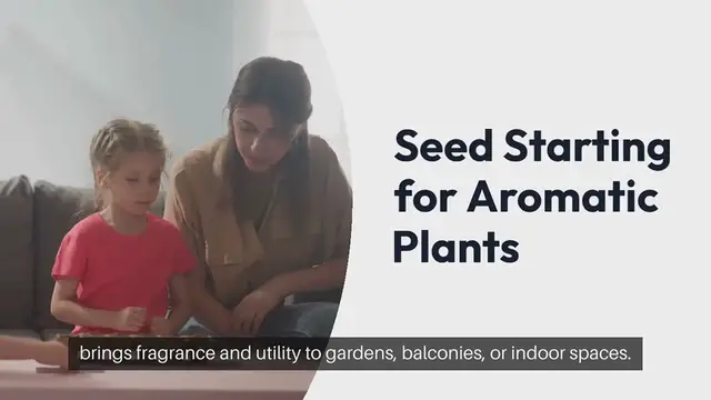 Video thumbnail for Seed Starting for Aromatic Plants
