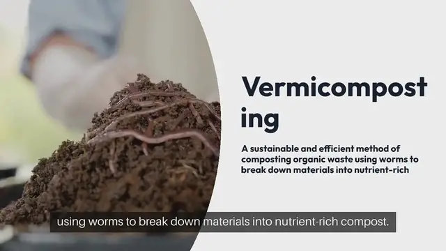 Video thumbnail for All About Vermicomposting Worm Composting