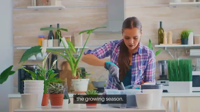 Video thumbnail for Annual Flower Seeds to Start