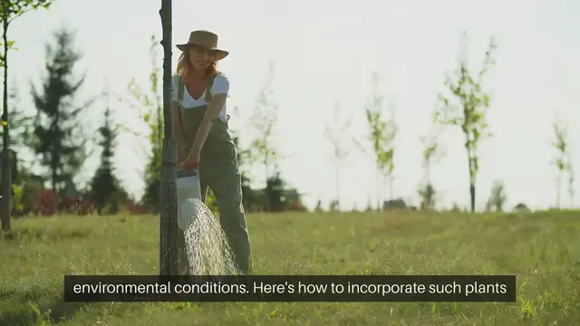 Video thumbnail for Cottage Gardening for Climate Resilience