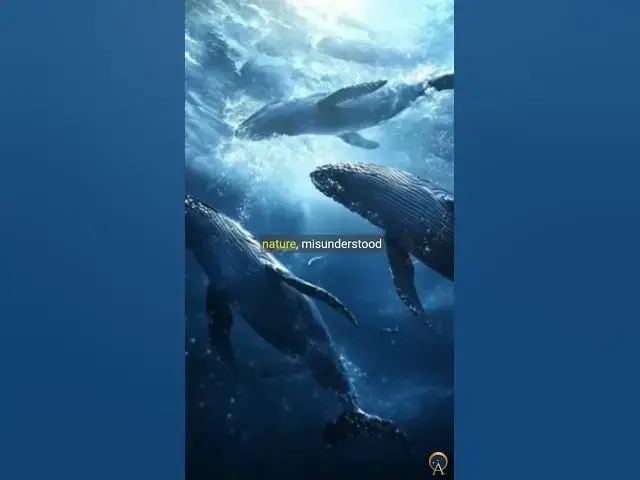 Video thumbnail for In the Heart of the Sea The Horrific True Story Behind Moby-Dick