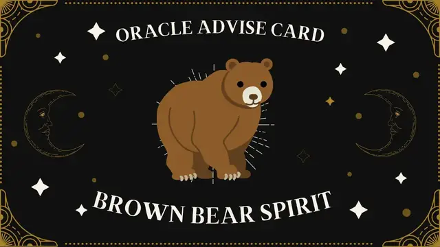 Video thumbnail for Pick A Card | Oracle Advise Card - Brown bear spirit