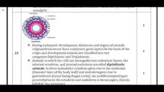 Video thumbnail for 11th Zoology (Pure Science) First Mid Term Answer Keys 2019-20 | Namakkal District | English Medium