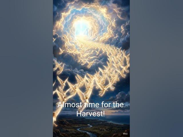 Video thumbnail for Almost time for the Harvest! #faithbased #inspiration #motivation