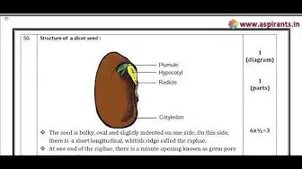 Video thumbnail for 10th Science Public Exam March 2019 Answer Keys | English Medium | Team Aspirants
