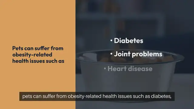 Video thumbnail for Pet Weight Management Tips