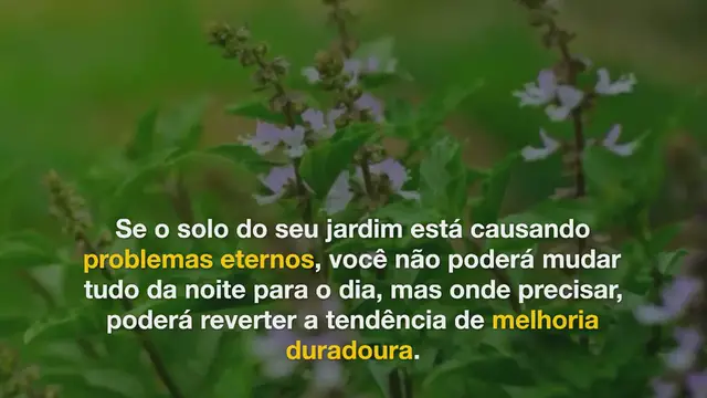 Video thumbnail for O que você deve plantar em seu jardim de acordo com seu tipo de solo?