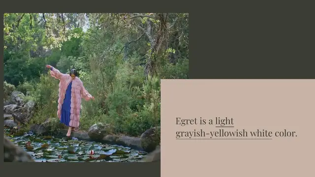 Video thumbnail for What color is egret in clothes?