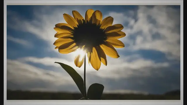 Video thumbnail for What is a Good Prayer for a Celebration of Life?