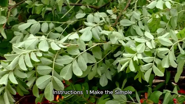 Video thumbnail for limeade recipe