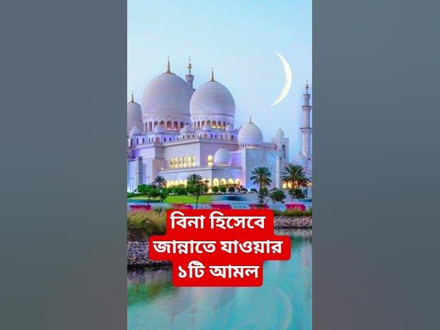 Video thumbnail for বিনা হিসেবে জান্নাতে যাওয়ার ১টি আমল#shorts #viral#sheikh_ahmadullah#islamicalortips