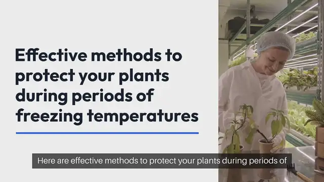 Video thumbnail for Frost Protection for Plants Essential Tips