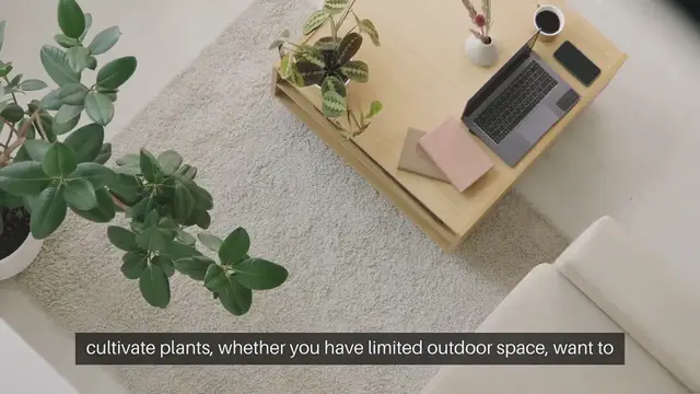 Video thumbnail for Container Gardening Tips