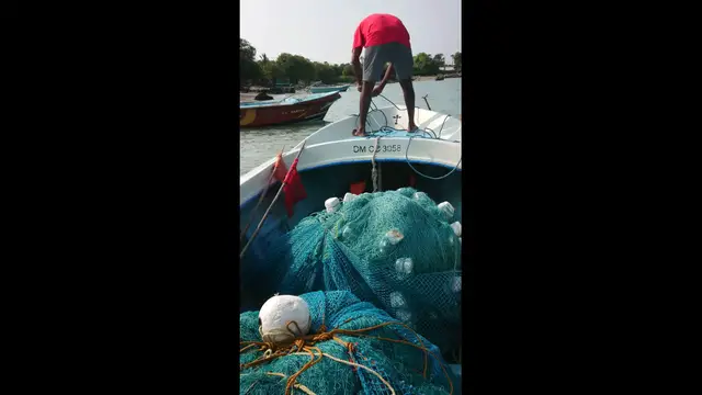 'Video thumbnail for The fisherman'