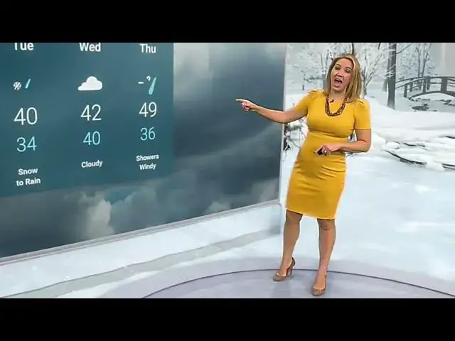 Video thumbnail for Alex Wilson TWC Biography, Age, Husband and Career