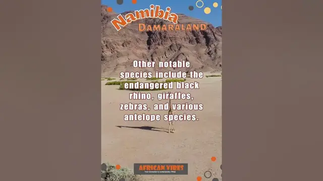Video thumbnail for Unbelievable Damaraland, Namibia Adventures You Can't Miss! 2023| African Vibes