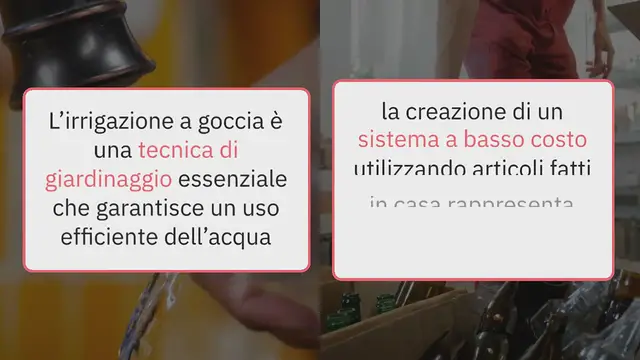 Video thumbnail for Realizzare un sistema di irrigazione a goccia a costo zero: semplici passaggi