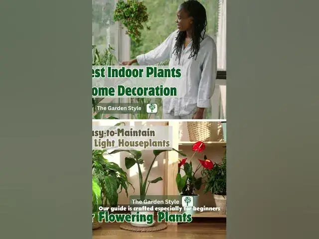 'Video thumbnail for Indoor Plants for Beginner Gardeners - Houseplants #indoorplants #houseplants #homedecor'