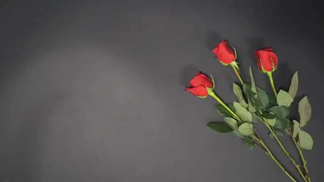 'Video thumbnail for Top 15 Unique Gift Ideas For Your Loved Ones'