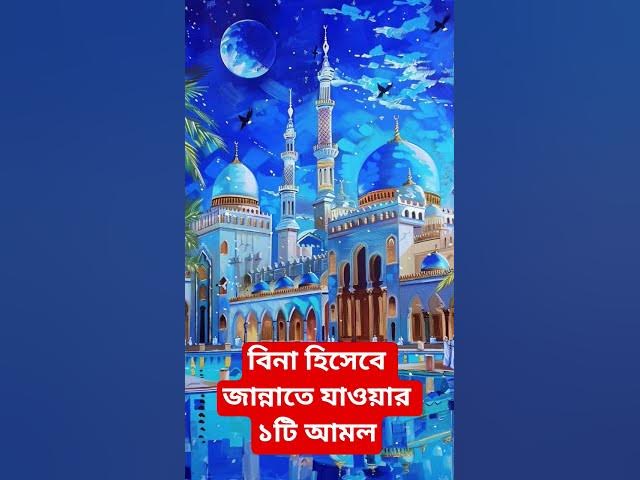 Video thumbnail for বিনা হিসেবে জান্নাতে যাওয়ার ১টি আমল#shorts #viral#sheikh_ahmadullah#islamicalortips