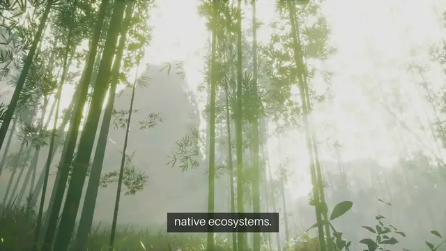 Video thumbnail for Identifying Common Invasive Plants