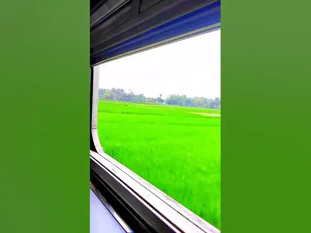 'Video thumbnail for কোরআন তিলাওয়াত #shorts #viral #foryou #qurantilawat'