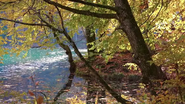 Video thumbnail for Neil Gaiman: A Master of Words, Worlds, and Weirdness